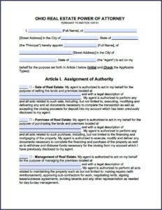 Minor Guardianship Form Ohio
