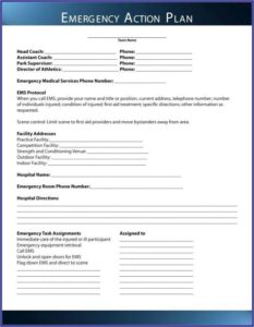 Non Emergency Medical Transportation Business Plan Template