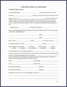 Nys Legal Guardianship Forms