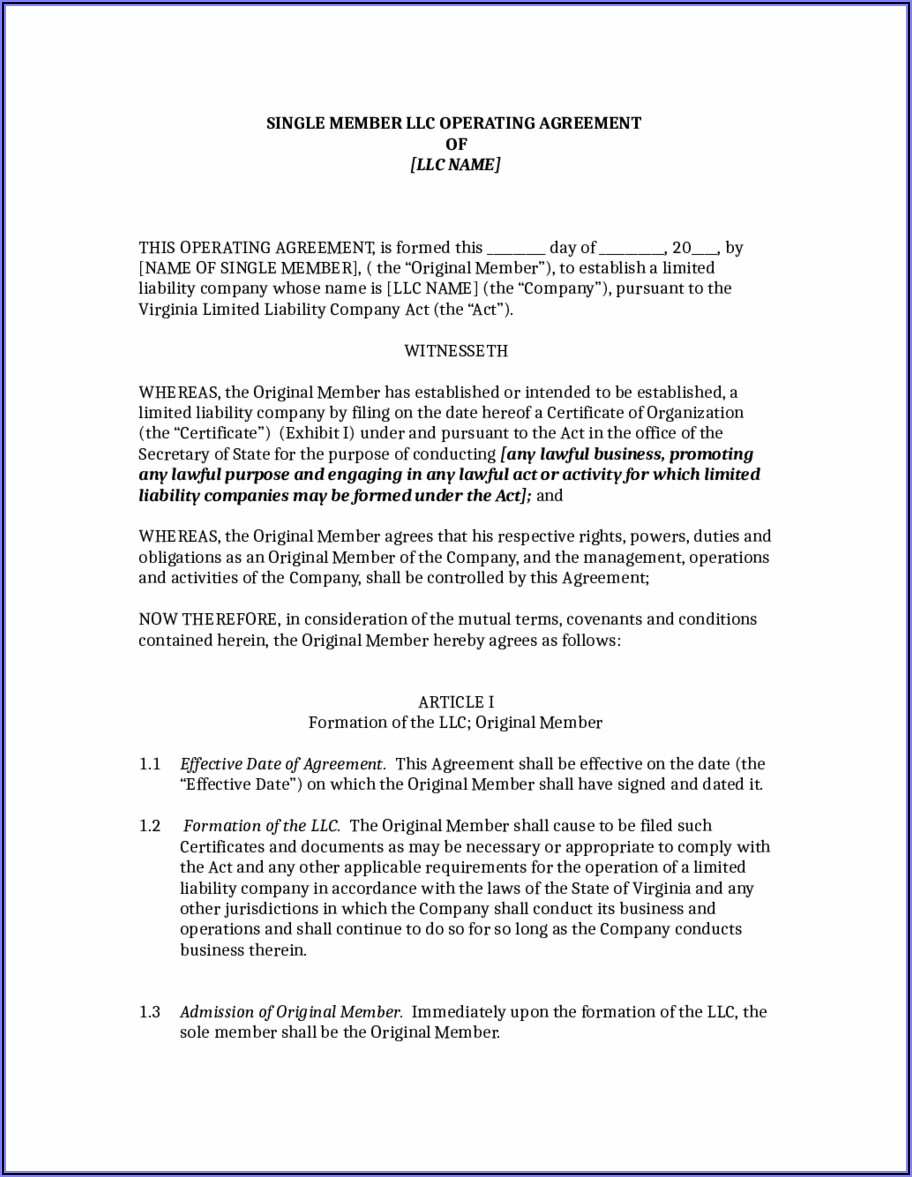 Operating Agreement For Single Member Llc Virginia Template