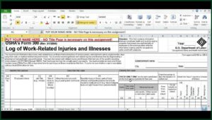 Osha Form 300300a Rev. 012004