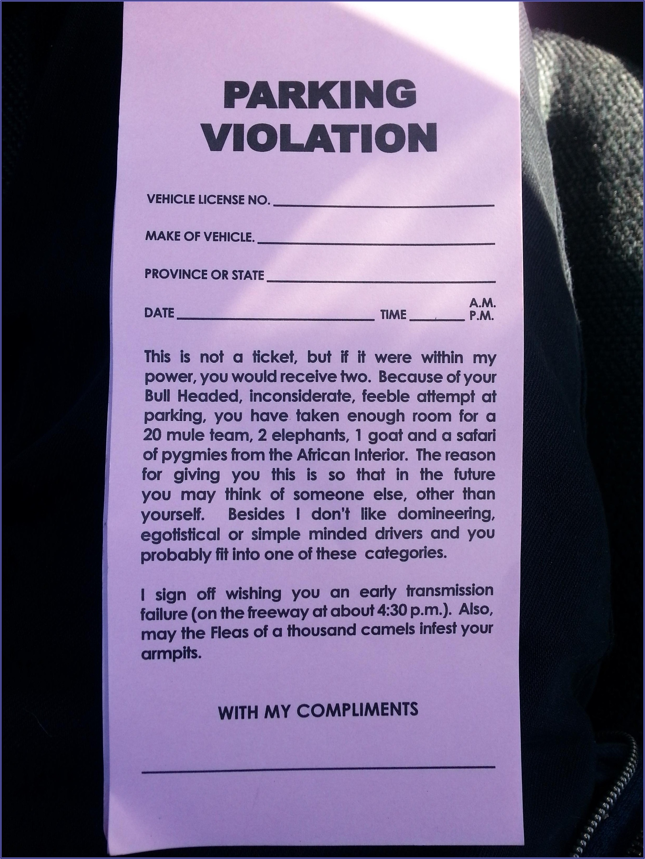 Police Ticket Template Pdf