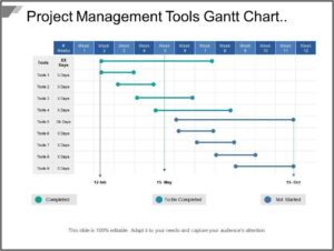 Sample Project Gantt Chart Template