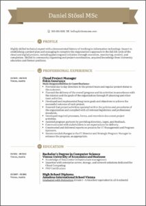 Sample Resume Project Manager