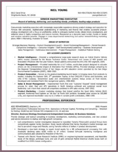 Security Company Business Plan Template Doc