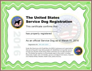 Service Animal Certificate Template
