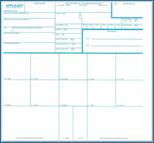 Standard Model Release Form Pdf