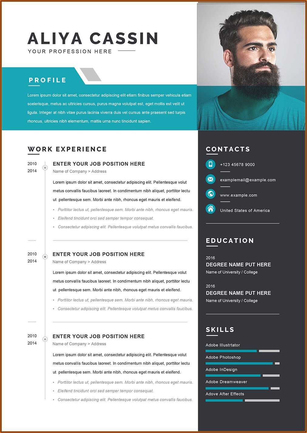 Template For Curriculum Vitae Word