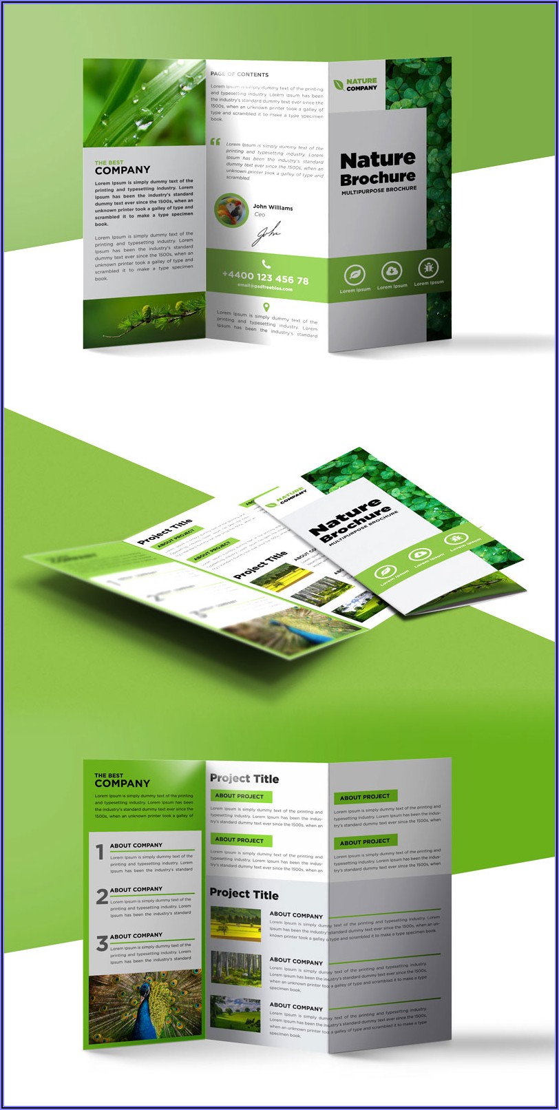 Tri Fold Brochure Template Free