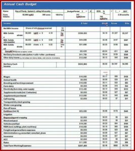Annual Household Budget Template Excel