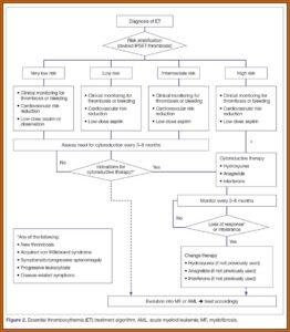 Blood Sugar Tracking Form