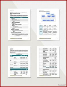 Cleaning Business Plan Template Pdf