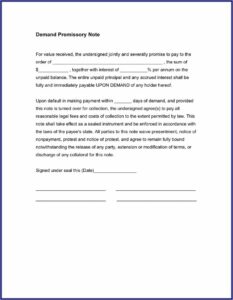 Demand Promissory Note Sample