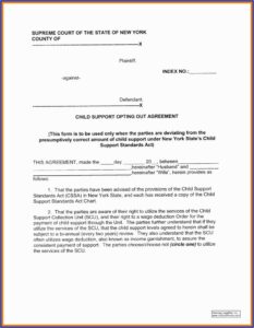 Emergency Child Custody Forms Nc
