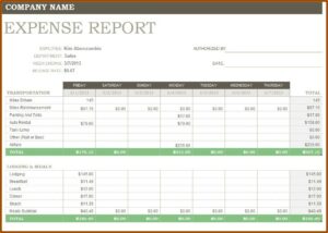 Free Printable Expense Report Template