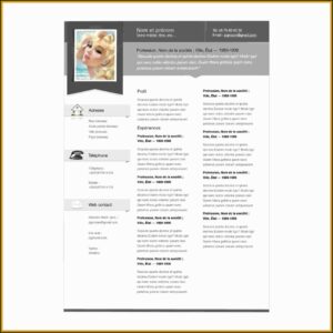 Free Resume Templates Mac Pages