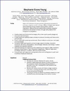 Freelance Developer Contract Template