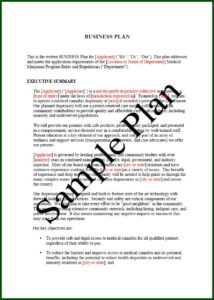 Insurance Business Plan Sample Pdf