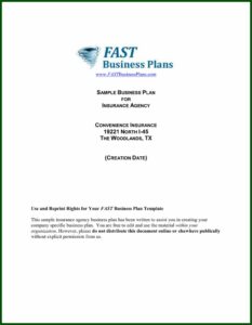 Insurance Business Plan Template