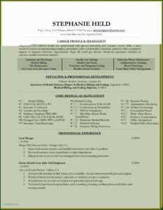 Insurance Business Plan Template Excel