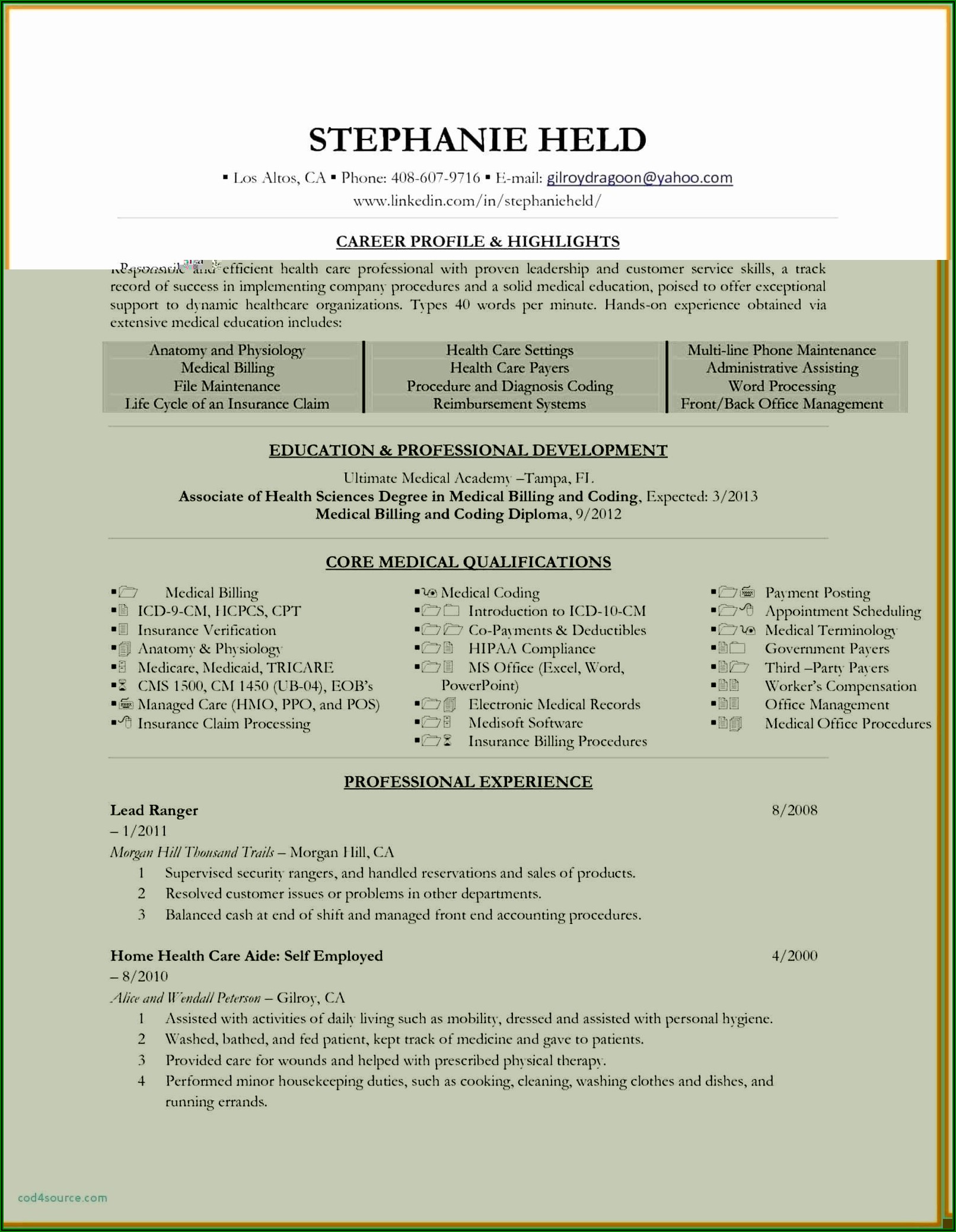Insurance Business Plan Template Excel
