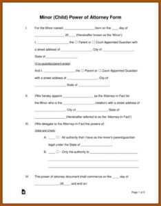 Limited Durable Power Of Attorney Form