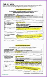 Mileage Expense Report Template Free