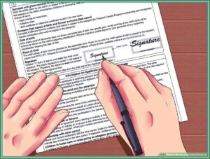 Passport Renewal Form Print