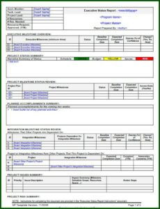 Weekly Project Status Report Template Excel
