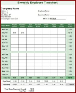 Access Timesheet Template