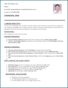 Art Teacher Resume Format