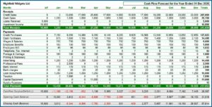 Cash Flow Forecast Template Download