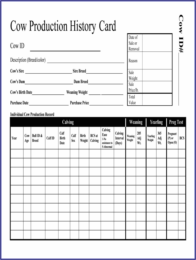 Cattle Record Keeping Forms