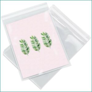 Cellophane Envelopes For Artwork