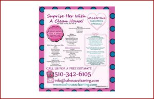 Cleaning Business Flyer Samples