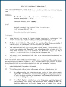 Convertible Loan Agreement Format