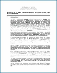 Convertible Loan Agreement Template Singapore