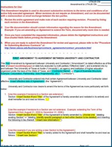 Convertible Shareholder Loan Agreement Template