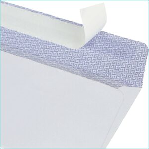 Double Window Envelopes For Quickbooks Checks