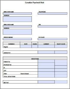 Editable Pay Stub Template Canada