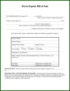 Equine Bill Of Sale Template