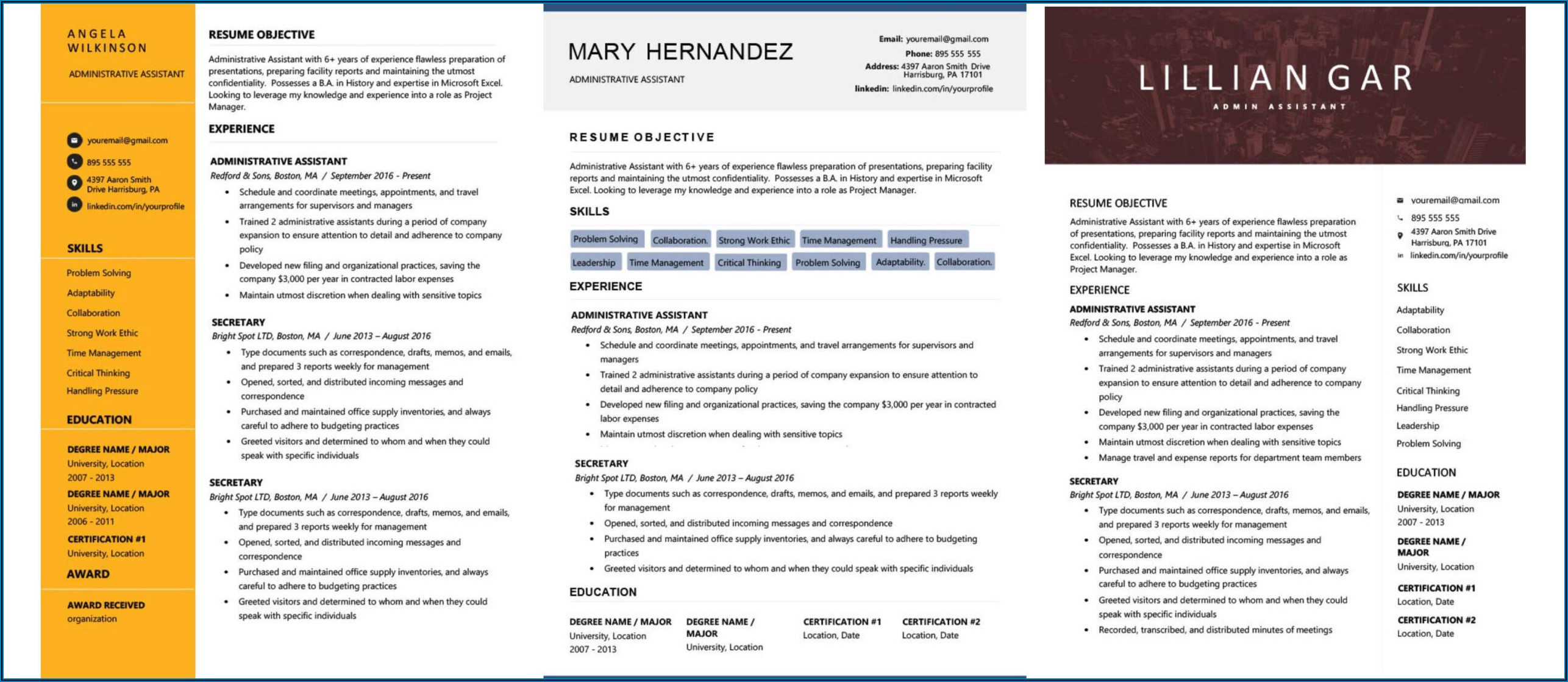 Family Physician Resume Template