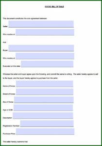 Free Horse Bill Of Sale Form