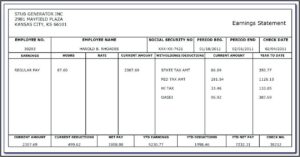 Free Pay Stub Template With Calculator Canada