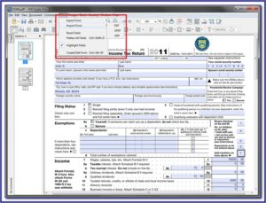 Importer Security Filing Data Elements Form