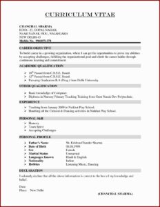 Job Application Resume Format Download