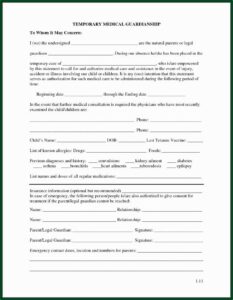 Legal Guardian Form Texas
