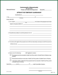 Legal Guardianship Form Texas