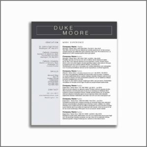 Nanny Work Agreement Template