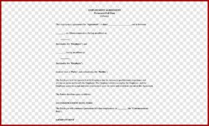 Permanent Full Time Employment Contract Template